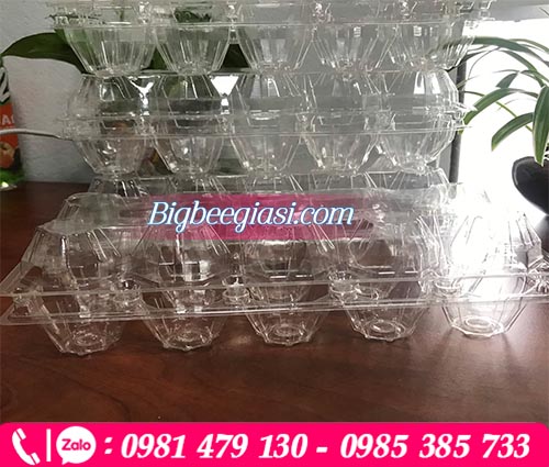 Vỉ nhựa đựng trứng nút bấm tiện lợi