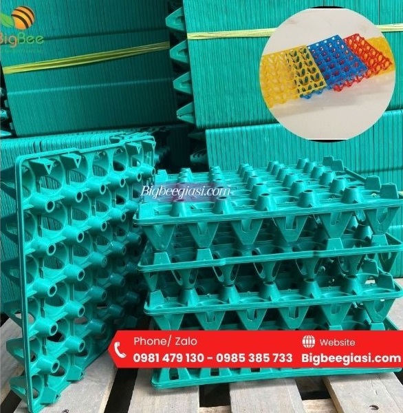 Khay nhựa đựng trứng 30 quả Khay nhựa đựng trứng 30 quả