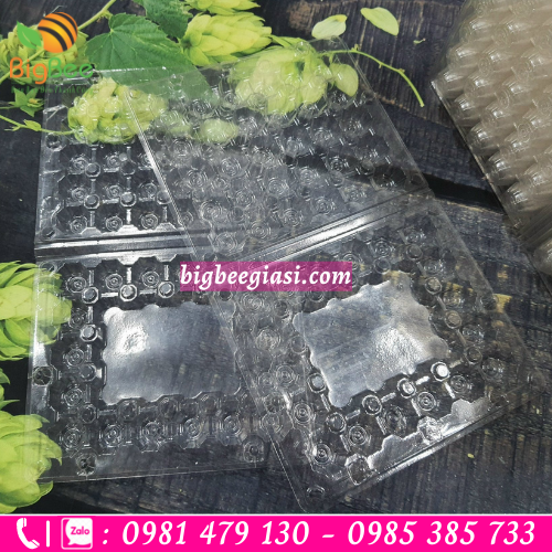 Vỉ trứng cút 30 quả nút bấm