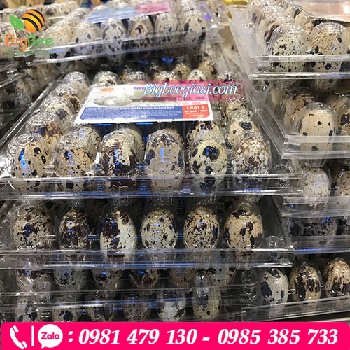 Có thể xếp chồng lên nhau để tiết kiệm diện tích trưng bày Có thể xếp chồng lên nhau để tiết kiệm diện tích trưng bày