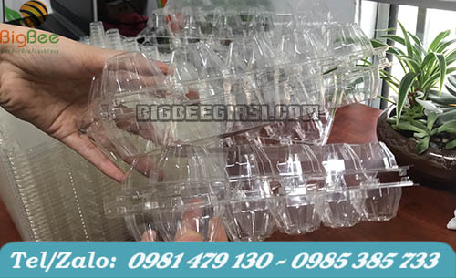 vỉ kiếng đựng trứng gà