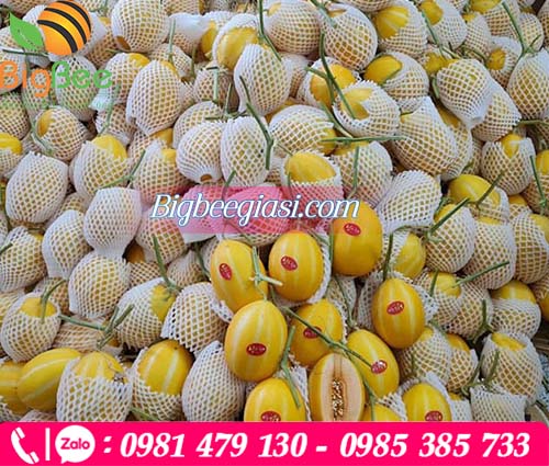 Lưới xốp giúp trái cây tươi ngon, bắt mắt hơn