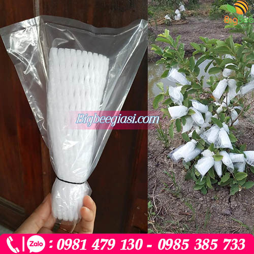Xốp bọc ổi lồng sẵn dây thun và túi nilon