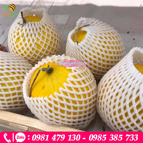 Xốp lưới bao trái cây chống va đập trầy xước Xốp lưới bao trái cây chống va đập trầy xước