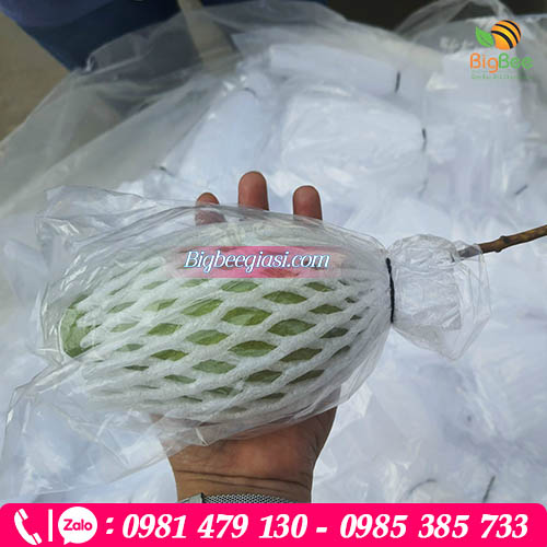 Xốp lưới bọc ổi lồng sẵn tiện lợi Xốp lưới bọc ổi lồng sẵn tiện lợi