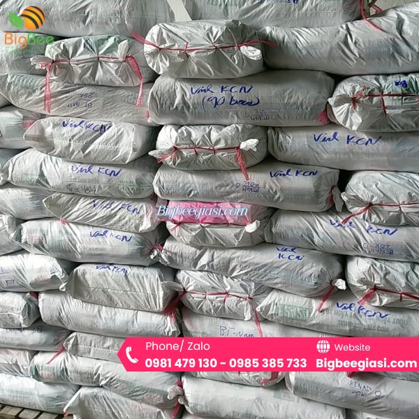 Xưởng bao tay xốp giá sỉ tại TpHCM Xưởng bao tay xốp giá sỉ tại TpHCM