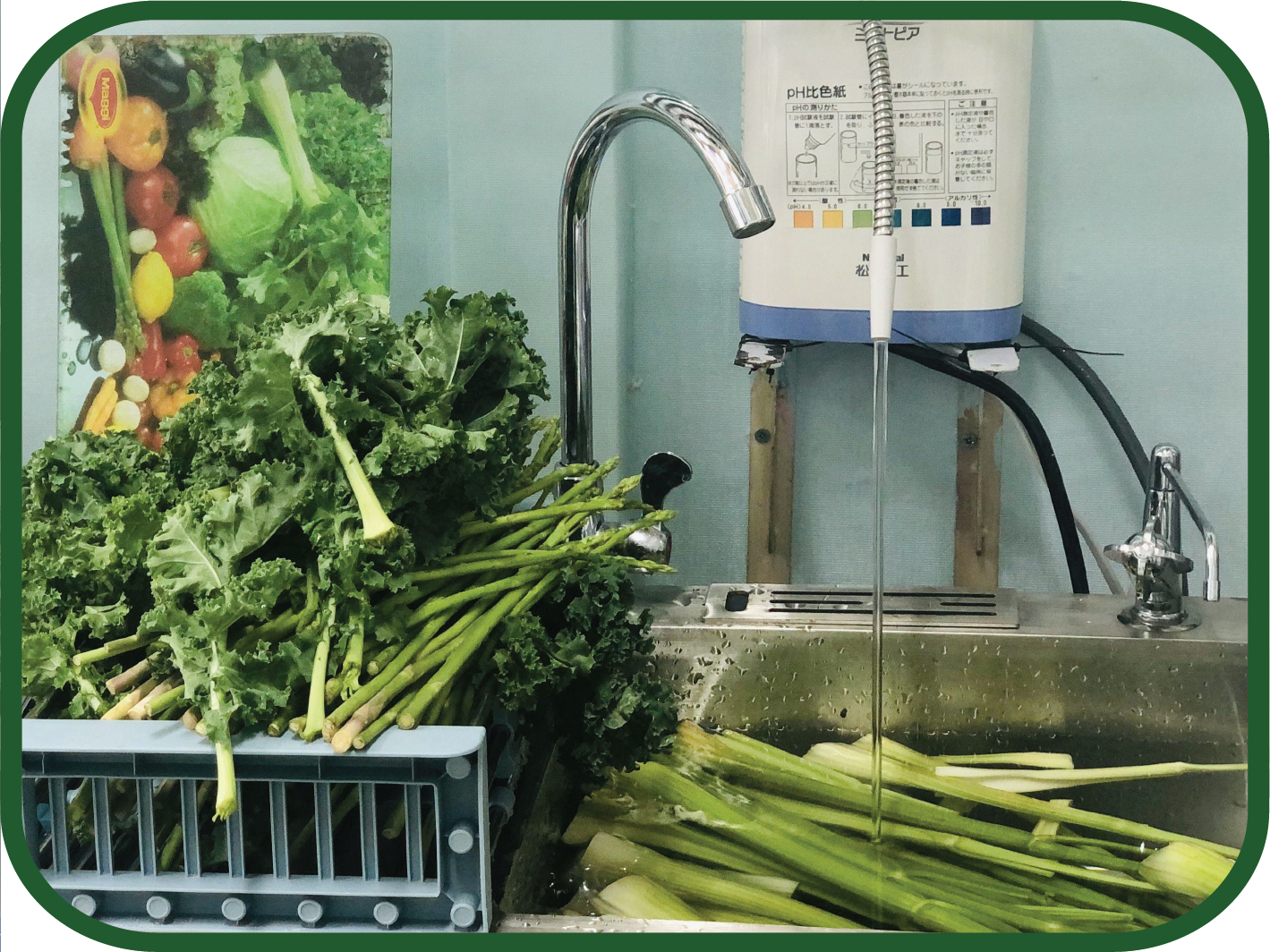 Ngâm rửa trong nước ion kiềm, độ pH 9.5