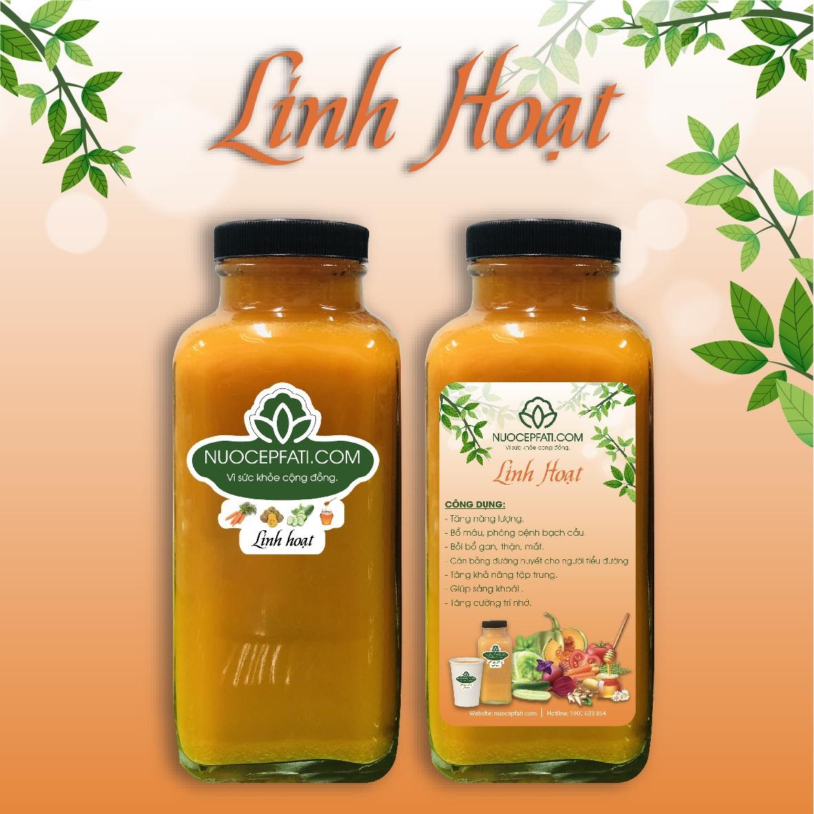 Dưa leo có thể kết hợp với các loại rau củ khác để tăng hương vị và công dụng. Dưa leo có thể kết hợp với các loại rau củ khác để tăng hương vị và công dụng.