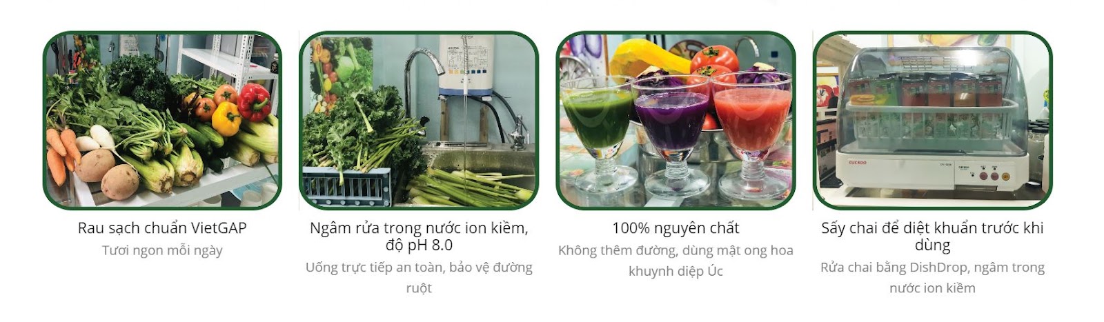 Nước ép fati mang đến những sản phẩm nước ép tươi sạch, an toàn tuyệt đối với sức khỏe người dùng Nước ép fati mang đến những sản phẩm nước ép tươi sạch, an toàn tuyệt đối với sức khỏe người dùng