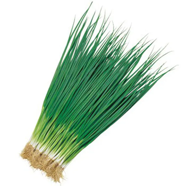 Rau củ sạch VN - Hành lá - 100gr