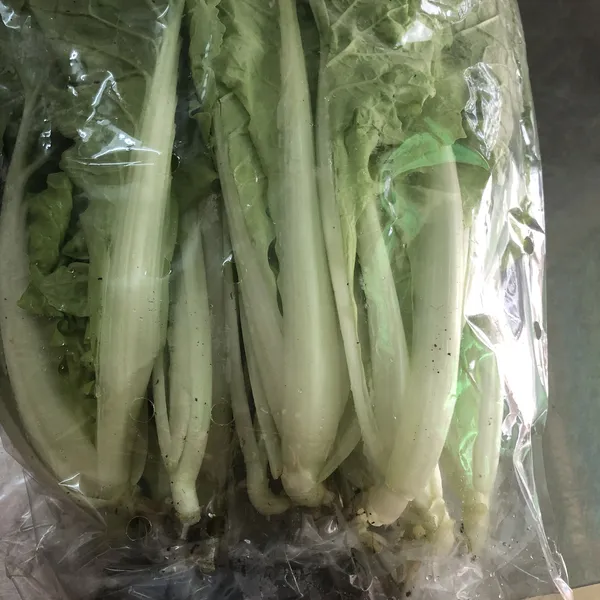 Cải dún thủy canh- 500gr