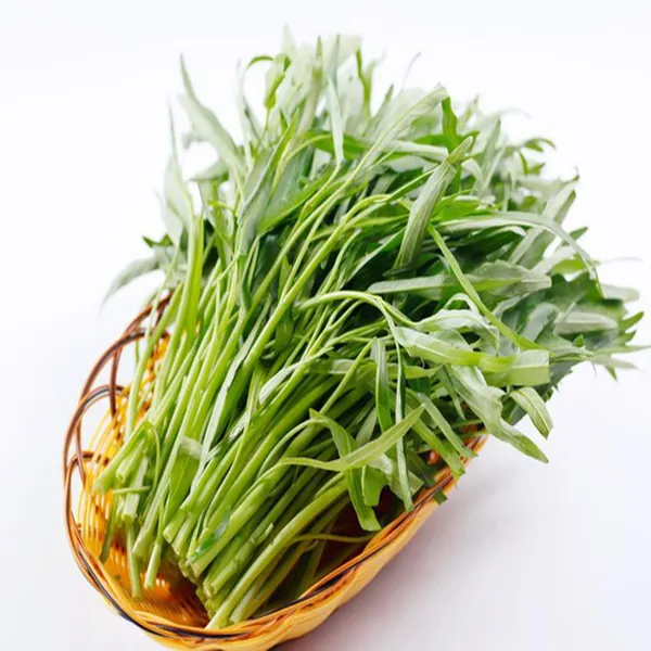  Rau muống thủy canh - 500gr