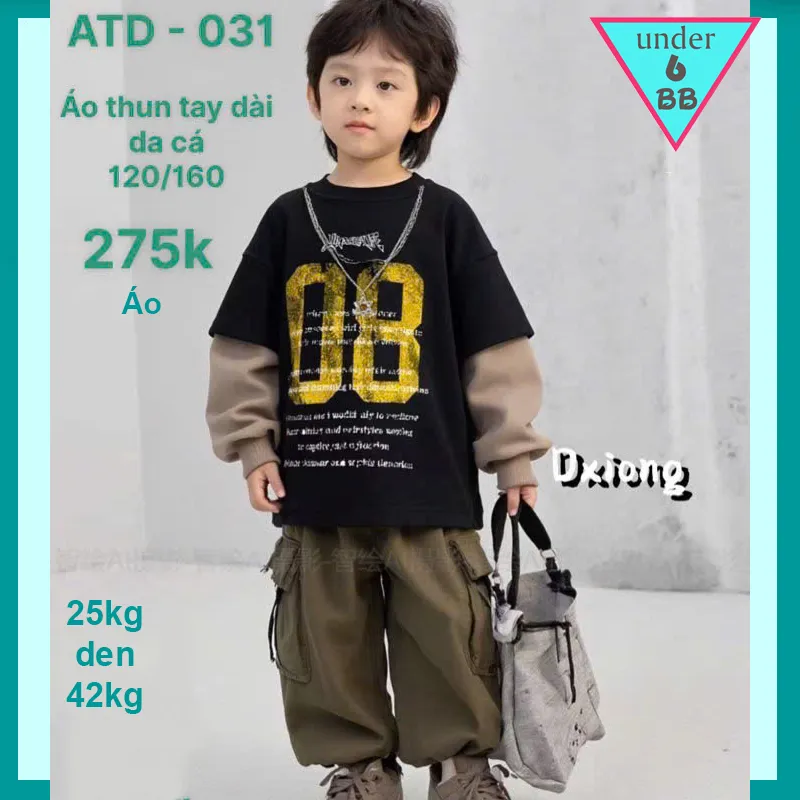 Áo thun bé trai tay dài cao cấp ( ATD : 031 )