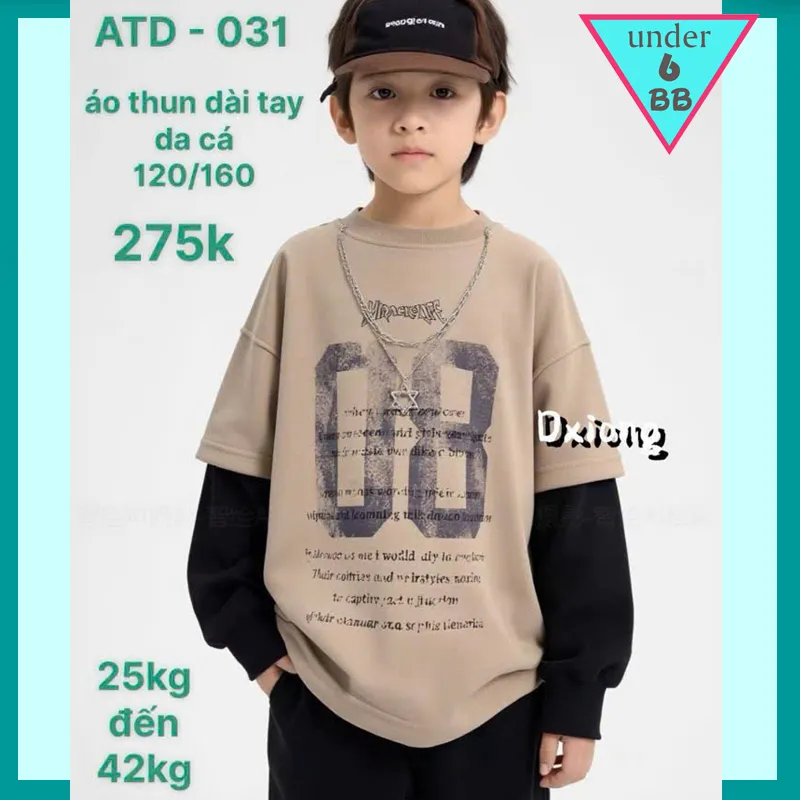 Áo thun bé trai tay dài cao cấp ( ATD : 031 )