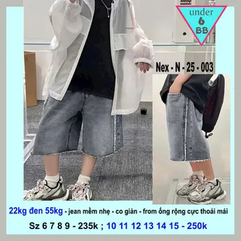 Quần jean bé trai ( 22kg đến 55kg ) ( Nex- N-25-003) 