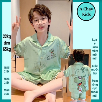 Quần áo pijama bé trai in Hình Khủng Long siêu đáng yêu cho bé 