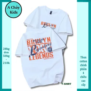 Áo thun bé trai cotton in chữ phong cách cá tính cho bé đi chơi , đi học