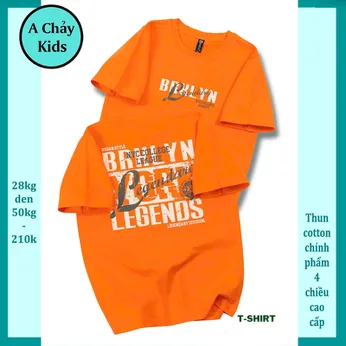 Áo thun bé trai cotton in chữ phong cách cá tính cho bé đi chơi , đi học