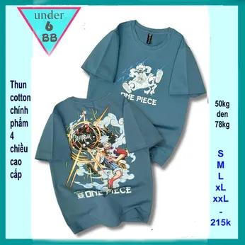 Áo thun bé trai cotton in hình anime nhân vật One Piece phong cách cá tính cho bé đi chơi , đi học