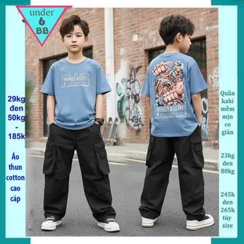 Áo thun bé trai cotton in hình LUFFY phong cách cá tính siêu ngầu cho bé đi chơi , đi học