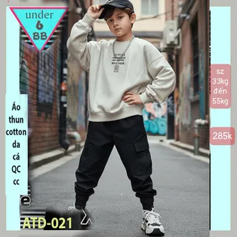 Áo thun bé trai tay dài cao cấp ( mã : ATD - 021 )