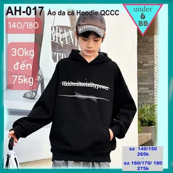 Áo thun bé trai tay dài có nón ( AH - 017) in chữ phong cách thời trang cá tính cho bé đi chơi , du lịch