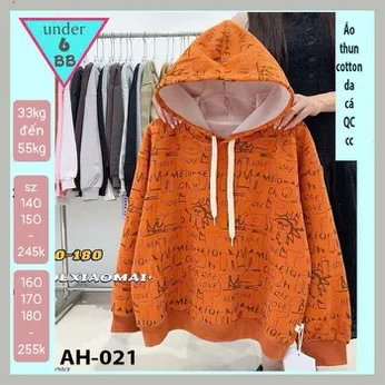 Áo thun bé trai tay dài có nón ( mã AH - 021 )