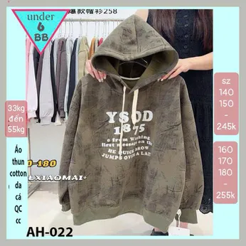 Áo thun bé trai tay dài có nón ( mã AH - 022)
