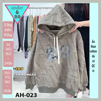 Áo thun bé trai tay dài có nón ( mã AH - 023 )