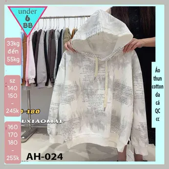 Áo thun bé trai tay dài có nón ( mã AH - 024)