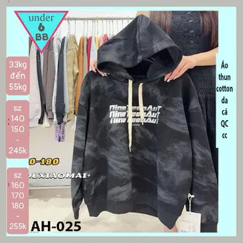 Áo thun bé trai tay dài có nón ( mã AH - 025 )