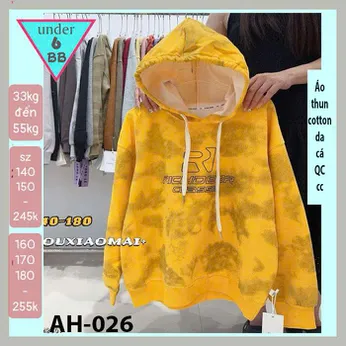 Áo thun bé trai tay dài có nón ( mã AH - 026 )