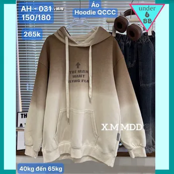 Áo thun bé trai tay dài có nón cao cấp ( AH 031 )