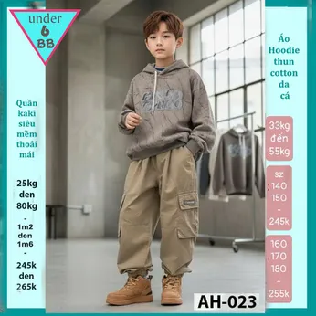 Áo thun bé trai tay dài có nón ( mã AH - 023 )