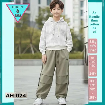 Áo thun bé trai tay dài có nón ( mã AH - 024)