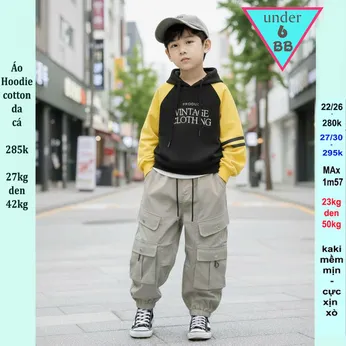 Áo thun bé trai tay dài có nón ( Hoodie - cotton da cá dày dặn ) in chữ phong cách cá tính cho bé đi chơi , du lịch