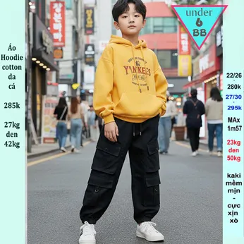 Áo thun bé trai tay dài có nón ( Hoodie - cotton da cá dày dặn ) in chữ phong cách cá tính cho bé đi chơi , du lịch