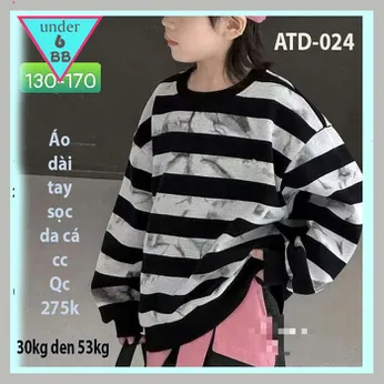 Áo thun bé trai tay dài cao cấp in sọc ( ATD - 024 )