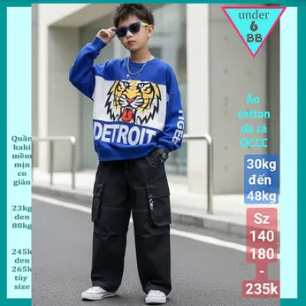 Áo thun tay dài vải len dày dặn cao cấp hình Chú Tiger siêu ngầu cho bé đi chơi , đi du lịch