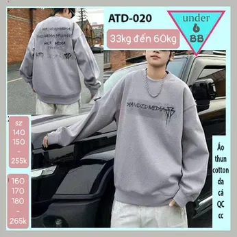 Áo thun bé trai tay dài cao cấp ( mã : ATD - 020 )