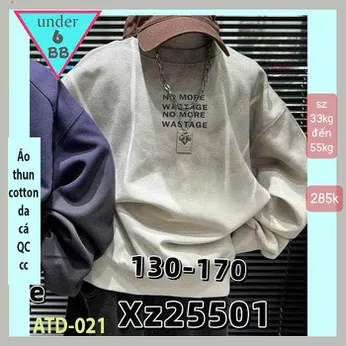 Áo thun bé trai tay dài cao cấp ( mã : ATD - 021 )