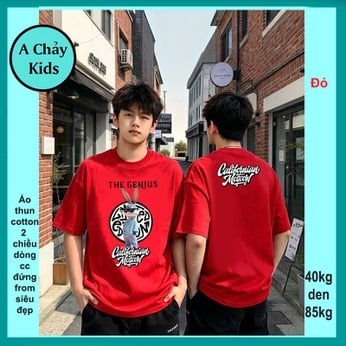 Áo thun cotton bé trai in hình Thỏ phong cách cực cá tính cho bé lớn diện đi chơi, đi du lịch