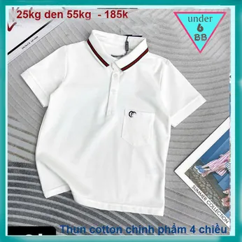 Áo thun polo bé trai thêu logo phong cách đơn giản cá tính cho bé diện đi chơi , đi học 