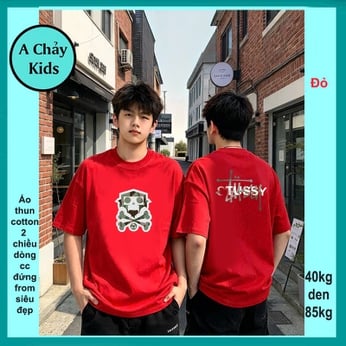Áo thun streetwear in hình cá tính phong cách hàn quốc cho tuổi teen diện phố , du lịch