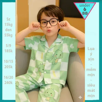 Đồ bộ pijama cho bé trai in hình Khủng Long đáng yêu cho bé mặc nhà , mặc ngủ