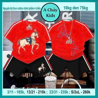 Set đồ bộ bé trai tay ngắn in hình chú ngựa cực ngầu cho bé diện đi chơi , đi du lịch