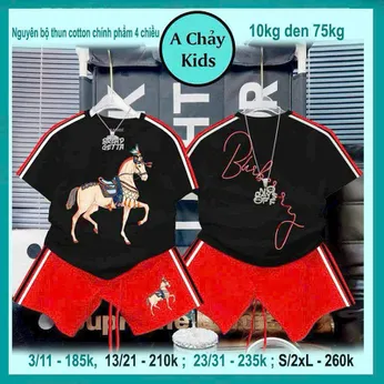 Set đồ bộ bé trai tay ngắn in hình chú ngựa cực ngầu cho bé diện đi chơi , đi du lịch
