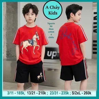 Set đồ bộ bé trai tay ngắn in hình chú ngựa cực ngầu cho bé diện đi chơi , đi du lịch