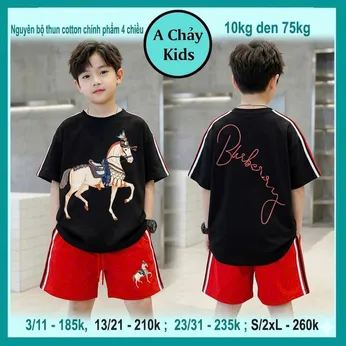 Set đồ bộ bé trai tay ngắn in hình chú ngựa cực ngầu cho bé diện đi chơi , đi du lịch