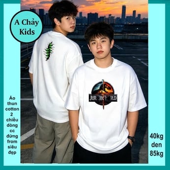 Áo thun streetwear in Hình Khủng Long siêu ngầu phong cách hiphop cá tính cho bé diện phố